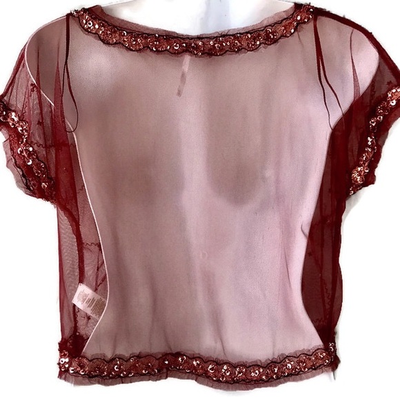 Free People Sheer Crop Tee W Copper Embroidery, XS - Picture 2 of 8